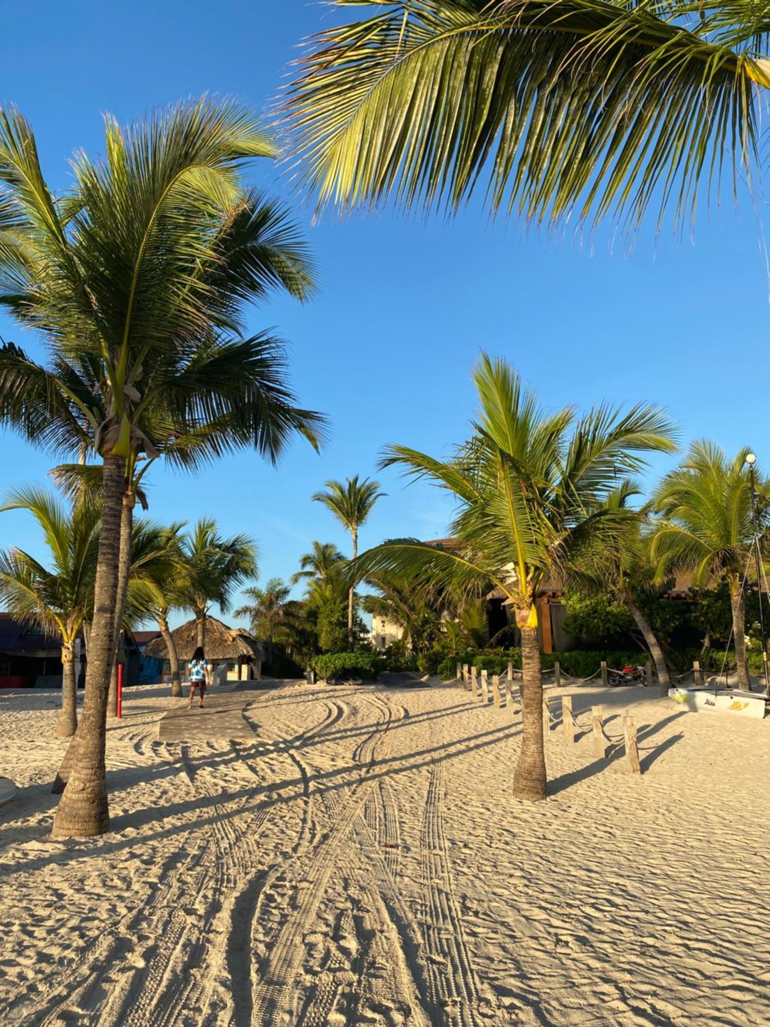Paradise Close To The Beach Pool Free Parking,Wifi- Punta Cana Zewnętrze zdjęcie